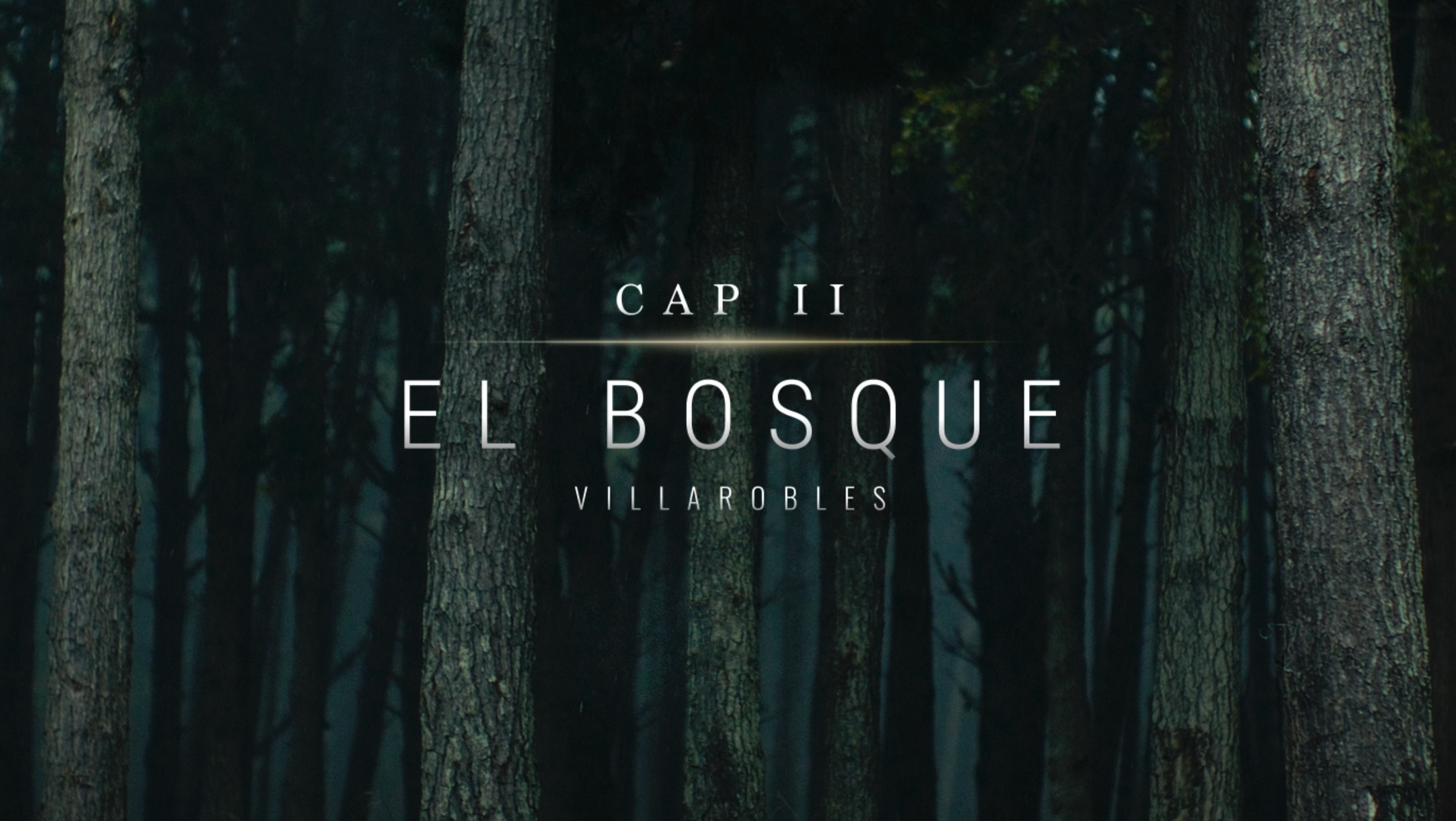 La serie