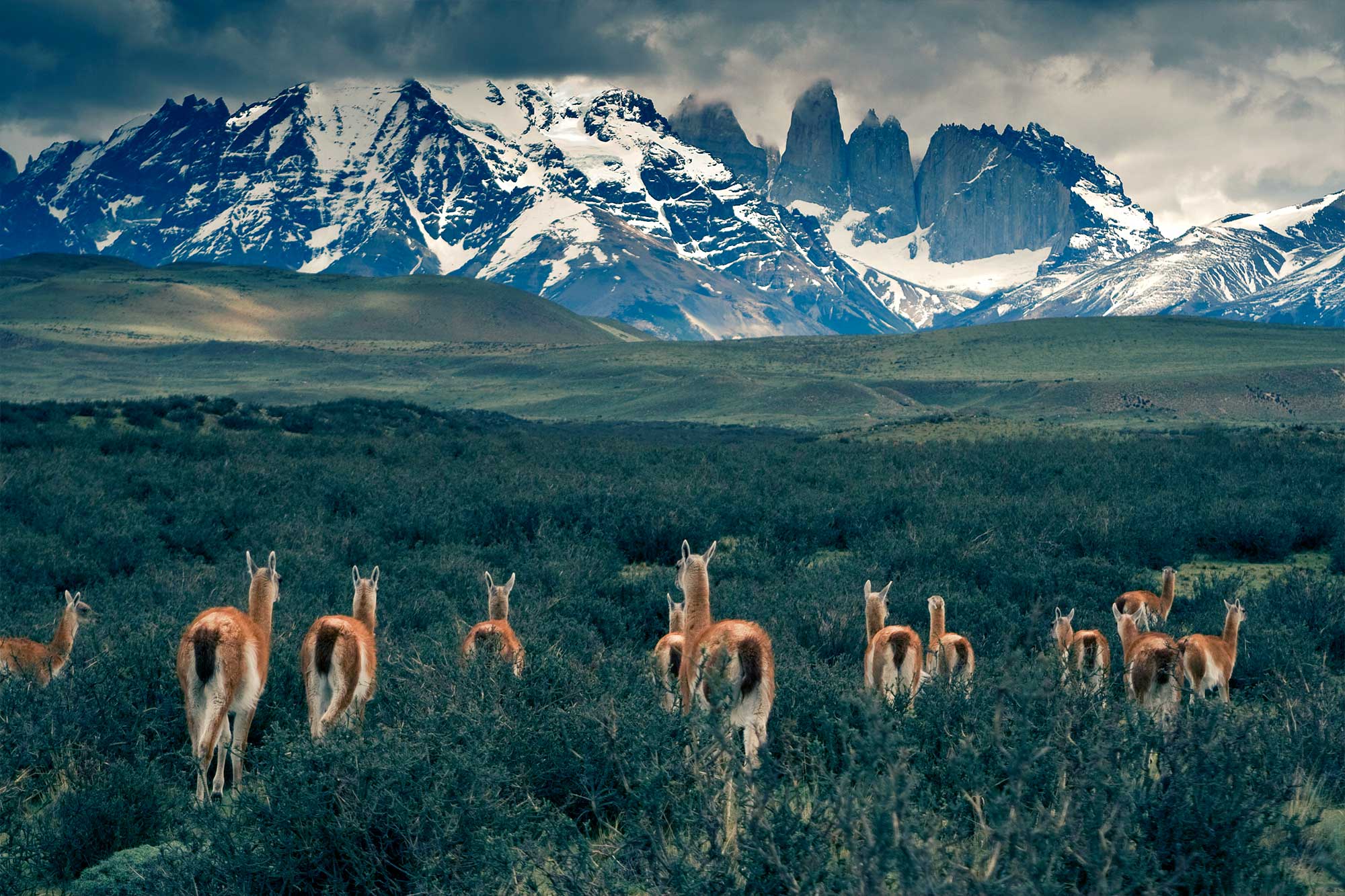 Naturaleza