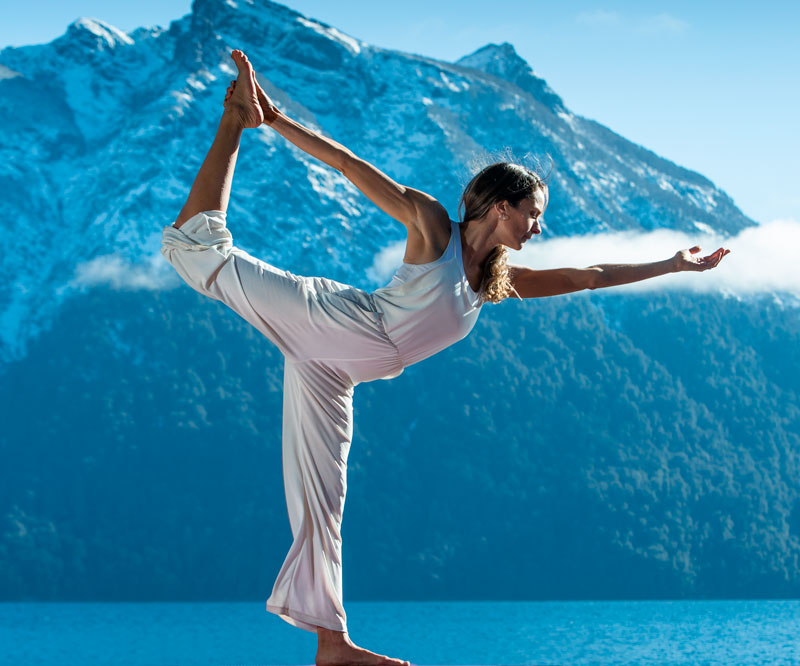 NetFit Pro